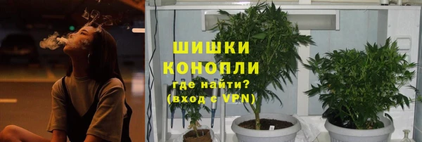 мдпв Волосово