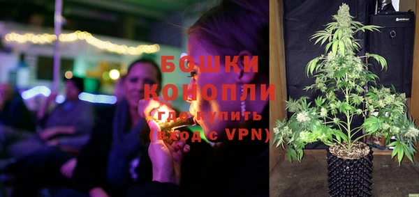 мдпв Волосово